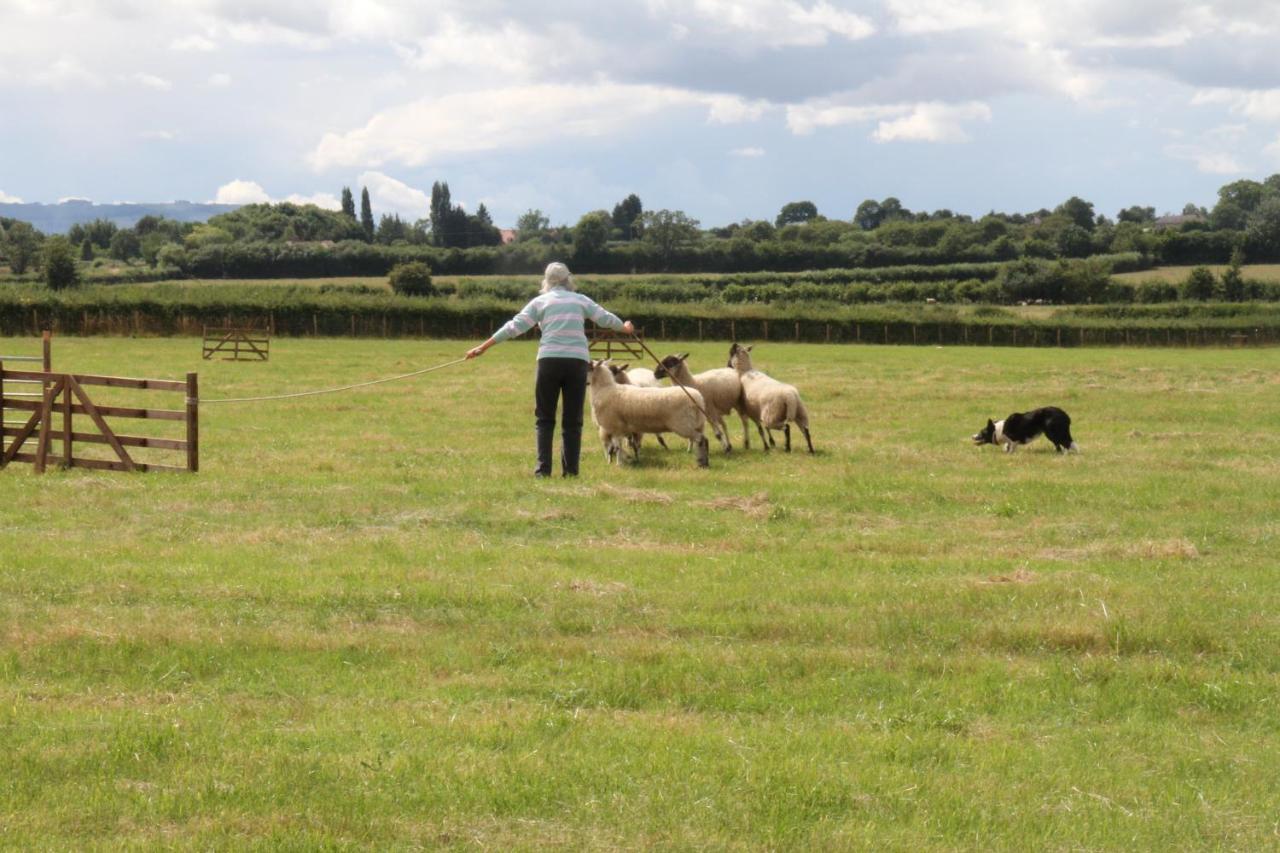Church Farm Stratford-upon-Avon Ngoại thất bức ảnh